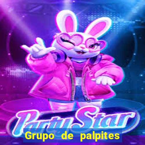 Grupo de palpites de futebol gratis